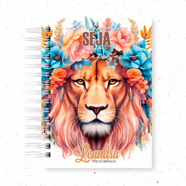 10 Capas Bíblias - Png