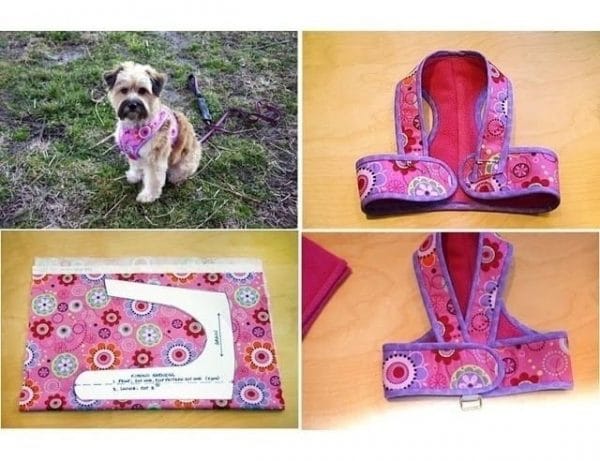 55 Moldes Pet Cães E Gatos Calcinha Cachecol Jaleco Camisa