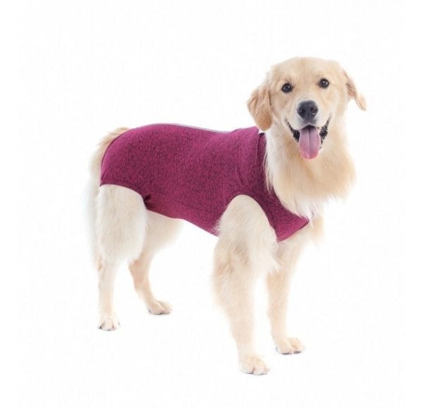 55 Moldes Pet Cães E Gatos Calcinha Cachecol Jaleco Camisa - Imagem 2