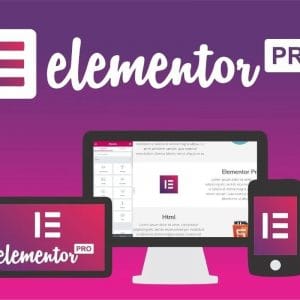 Plugin Elementor Pro Ilimitado Wordpress Vitalício Atualizad