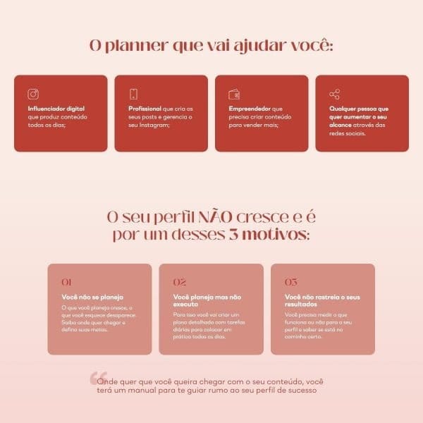 Arquivo Pdf Planner Conteúdo Perfeito Lívia Brasil