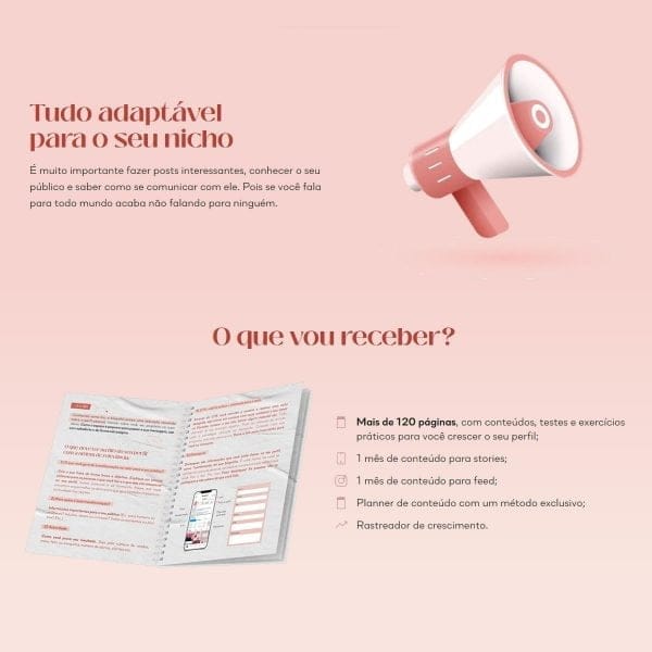 Arquivo Pdf Planner Conteúdo Perfeito Lívia Brasil