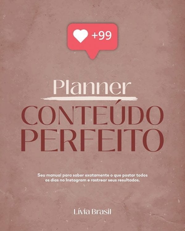 Arquivo Pdf Planner Conteúdo Perfeito Lívia Brasil