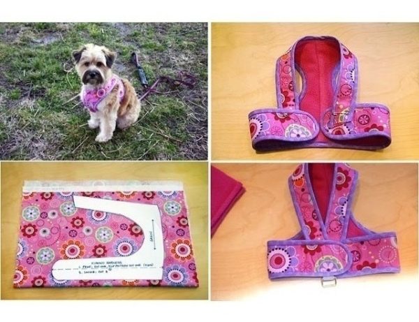 55 Moldes Pet Cachorro Gatos Roupão Capa Abrigo Capuz Cama