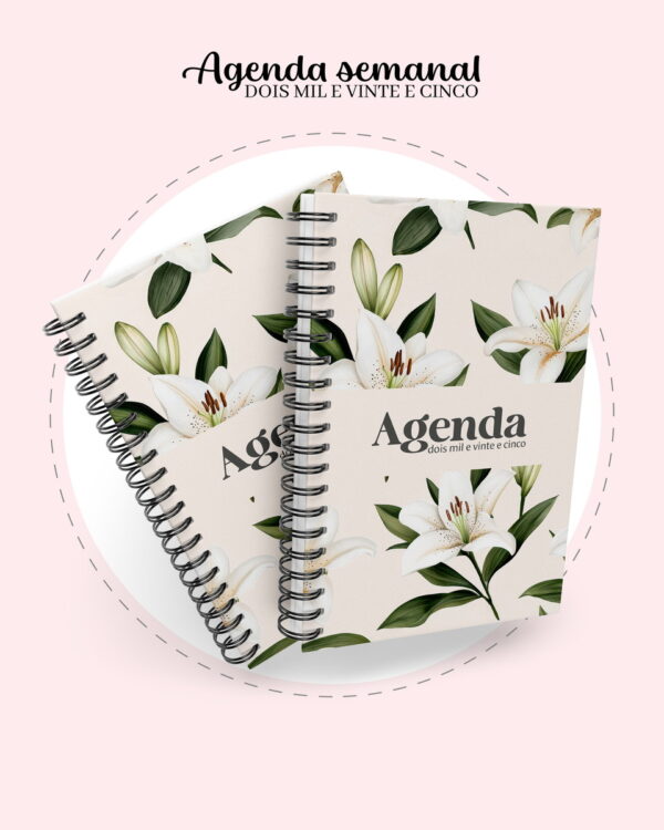 Agenda Semanal Big e A5 2025 - Arquivo Digital