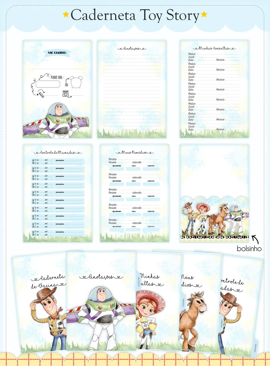 Caderneta De Saude Toy Story Arquivo Digital 3