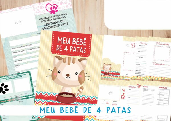 Caderneta Vacina e Registros Momentos - Cat Macho 3