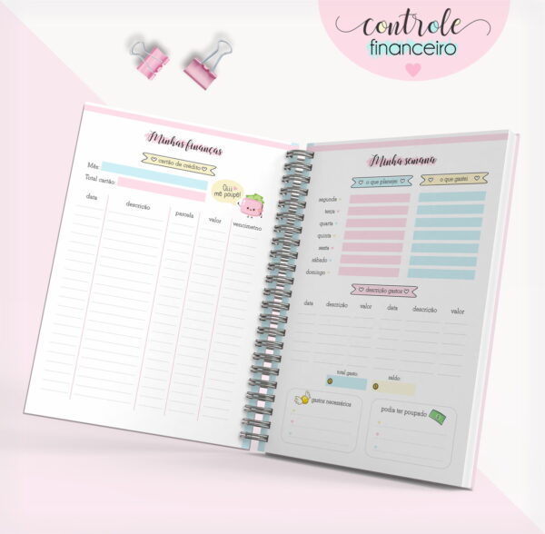 Caderno Controle Financeiro Feminino 04 - Arquivo Digital