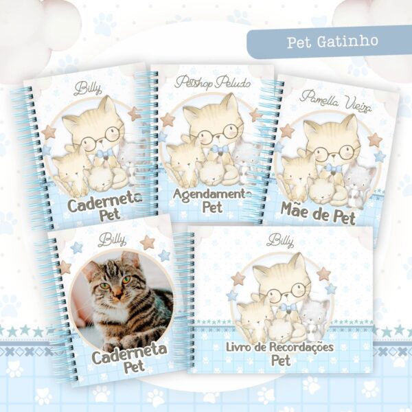 Coleção Pet Gatinho Azul - Arquivo Digital
