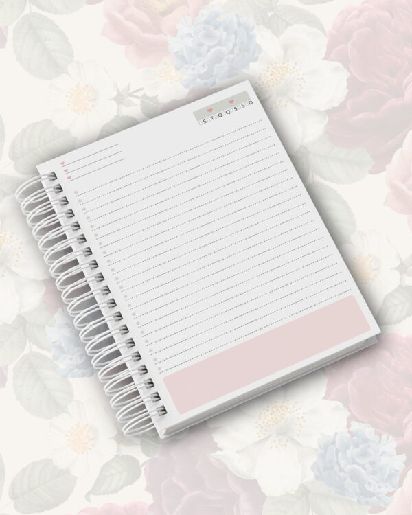 Combo Agendas Leoa - Arquivo Digital