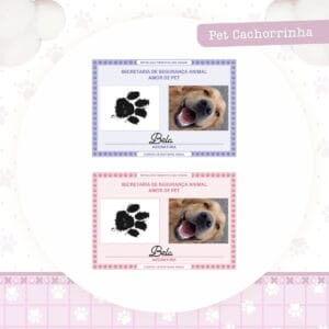 Identidade Pet Cachorrinha - Arquivo Digital
