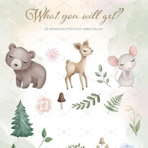 Ilustrações Animais Da Floresta Arquivos Png Personalizados