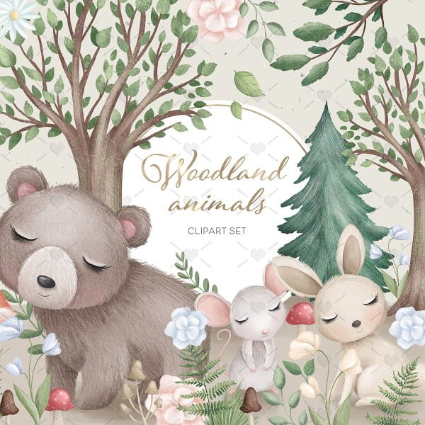 Ilustrações Animais Da Floresta Arquivos Png Personalizados