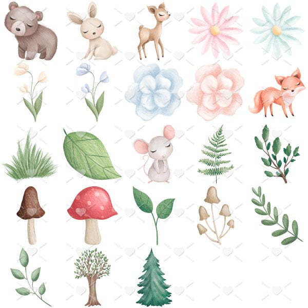Ilustrações Animais Da Floresta Arquivos Png Personalizados