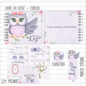 livro do bebe coruja arquivo digital para imprimir e montar
