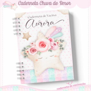 Livro e Caderneta Chuva de Amor Rosinha - Arquivo Digital