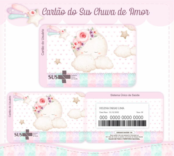 Livro e Caderneta Chuva de Amor Rosinha - Arquivo Digital