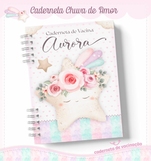 Livro e Caderneta Chuva de Amor Rosinha - Arquivo Digital