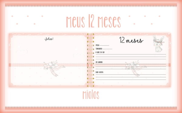 Livro Meus 12 Meses Coelhinha - Arquivo Digital