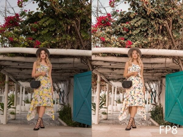 Lr Presets Lívia Brasil Fashion DNG Mobile Iphone Android