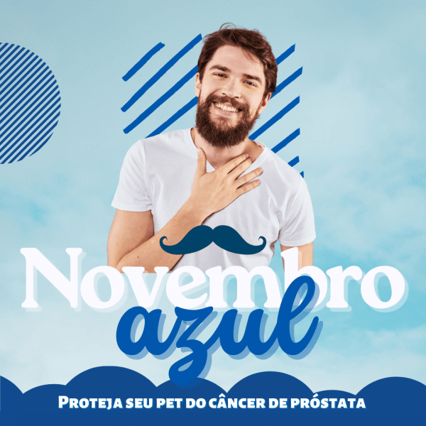 Pack Canva Novembro Azul 30 Modelos Editáveis+ Bônus