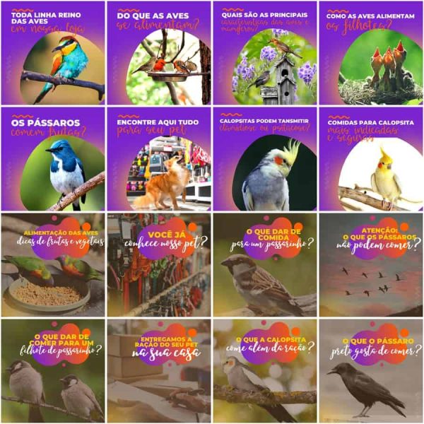 Pack Canva Pet Shop 200 Modelos Editáveis+ Legendas