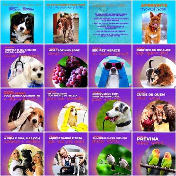 Pack Canva Pet Shop 200 Modelos Editáveis+ Legendas