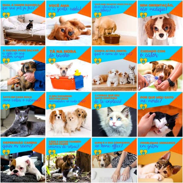 Pack Canva Pet Shop 200 Modelos Editáveis+ Legendas