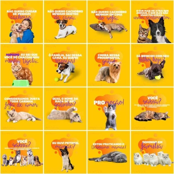 Pack Canva Pet Shop 200 Modelos Editáveis+ Legendas