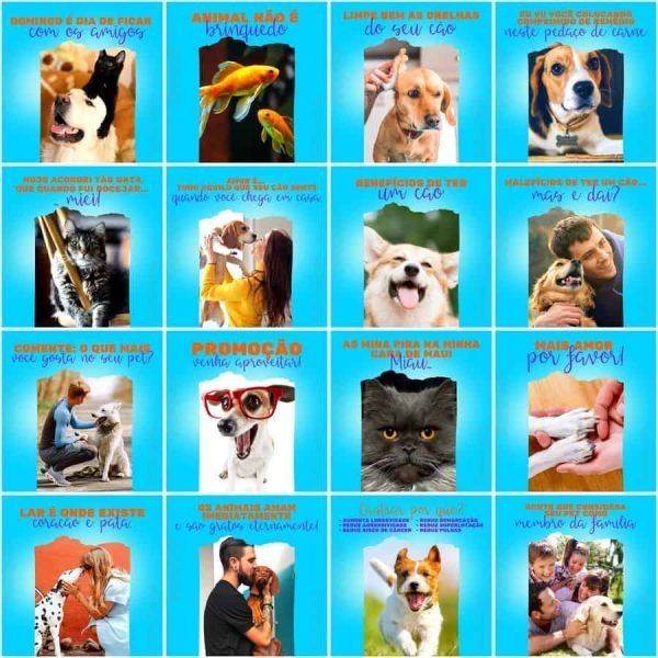 Pack Canva Pet Shop 200 Modelos Editáveis+ Legendas