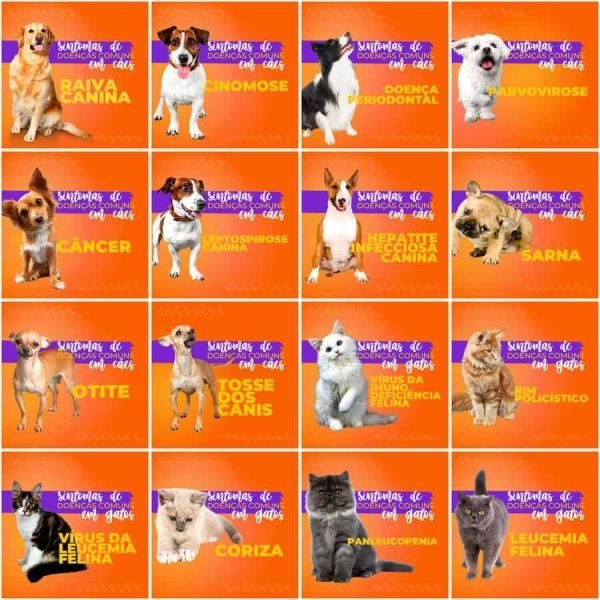 Pack Canva Pet Shop 200 Modelos Editáveis+ Legendas