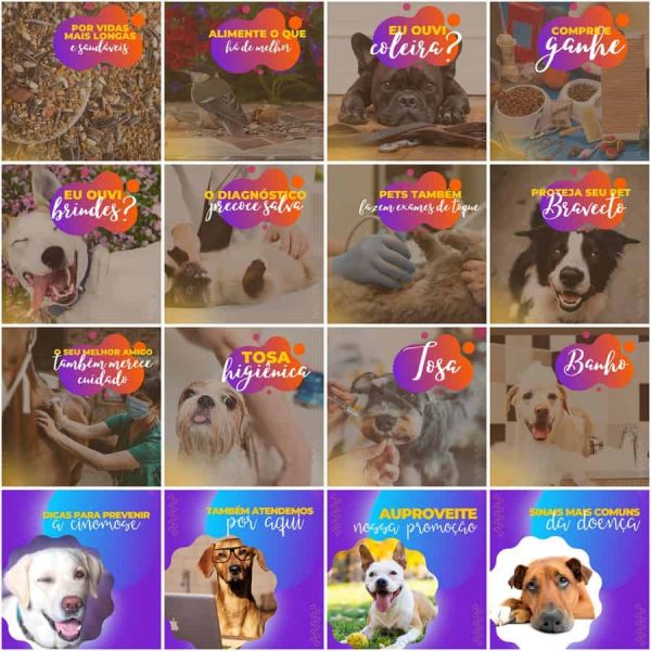 Pack Canva Pet Shop 200 Modelos Editáveis+ Legendas