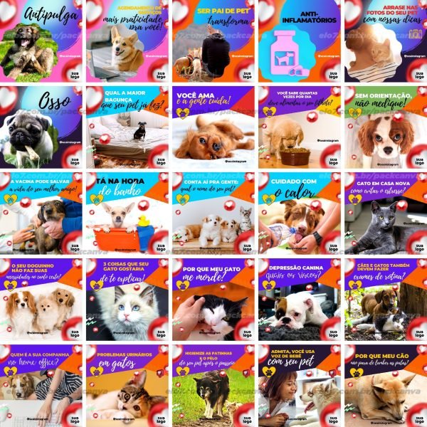 Pack Canva Pet Shop Petshop 100 Modelos Editáveis+ Bônus