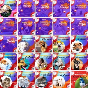 Pack Canva Pet Shop Petshop 100 Modelos Editáveis+ Bônus