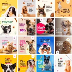 Pack Canva pet Shop Petshop 39 Modelos Editáveis+ Bônus
