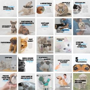 Pack Canva Veterinário Pet Shop Petshop 2.0 25 Modelos Editáveis+ Bônus
