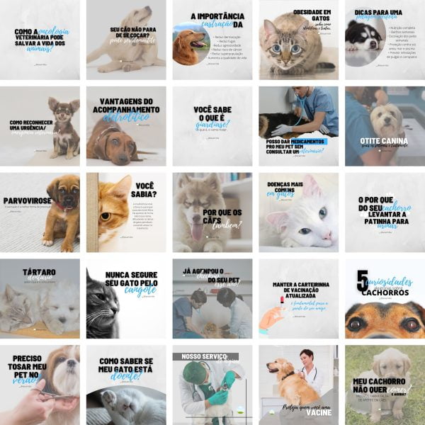 Pack Canva Veterinário Pet Shop Petshop 2.0 25 Modelos Editáveis+ Bônus