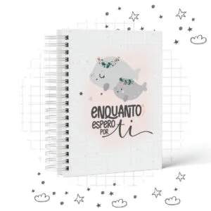 Pack Diario De Gestante Enquanto Espero Por Ti 4