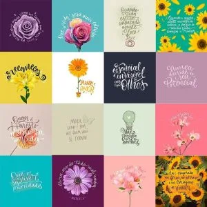 Pack Estampas Motivacionais Frases E Artes Personalizados 7 Coleção de imagens digitais com flores ilustradas e frases motivacionais variadas.