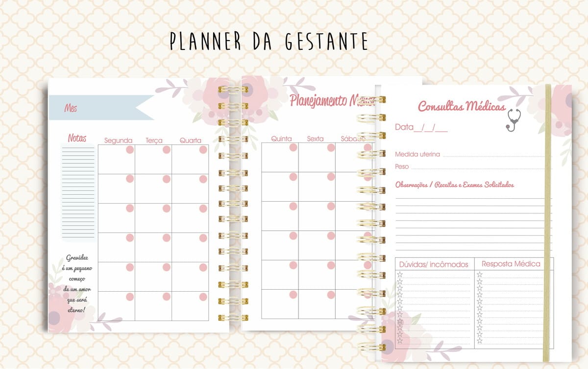Planner da Gestante para Imprimir com 145 Páginas 4 Arte digital de um planner da gestante com calendário e seções para consultas.