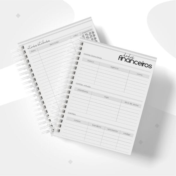 Planner Financeiro Empresas Masculino - Arquivo Digital