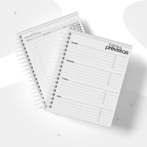 Planner Financeiro Empresas Masculino - Arquivo Digital
