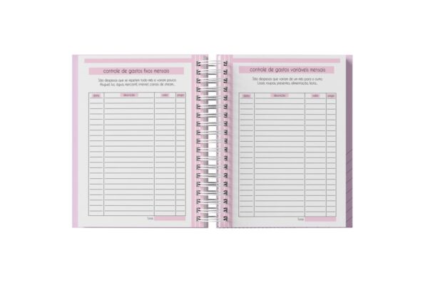 Planner Financeiro Feminino 2025 - Arquivo Digital