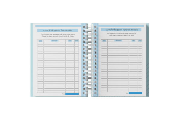 Planner Financeiro Feminino 2025 - Arquivo Digital